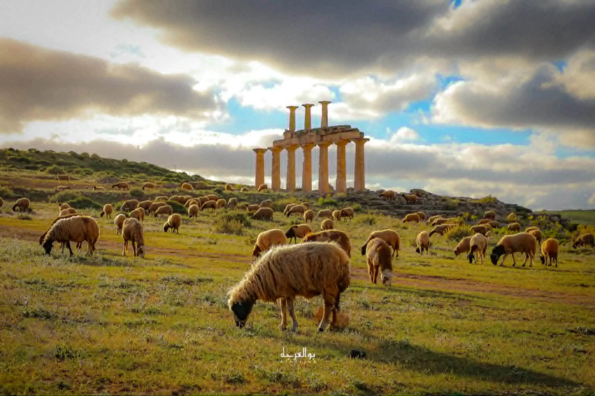 معبد ديميترا